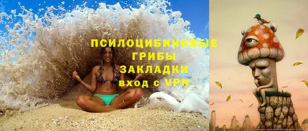 ПСИЛОЦИБИНОВЫЕ ГРИБЫ Каменск-Шахтинский