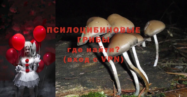 первитин Каменногорск