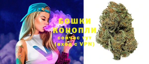 ALPHA PVP Иннополис