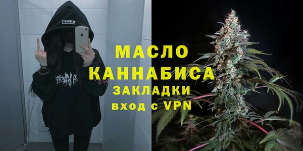 ГАЛЛЮЦИНОГЕННЫЕ ГРИБЫ Каменка