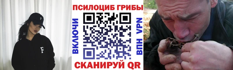 Купить где  Ивдель  Псилоцибиновые грибы Magic Shrooms 