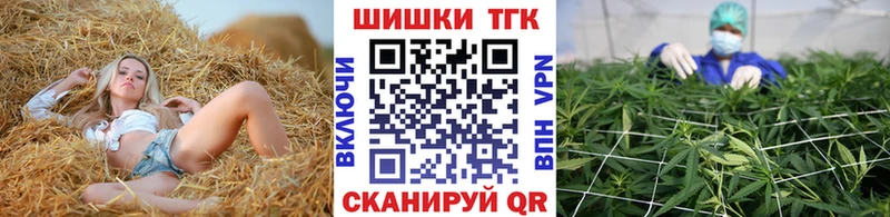 Купить закладки  Ивдель  Каннабис SATIVA & INDICA 